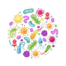 MicroBiology