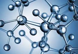 Molecular Biology